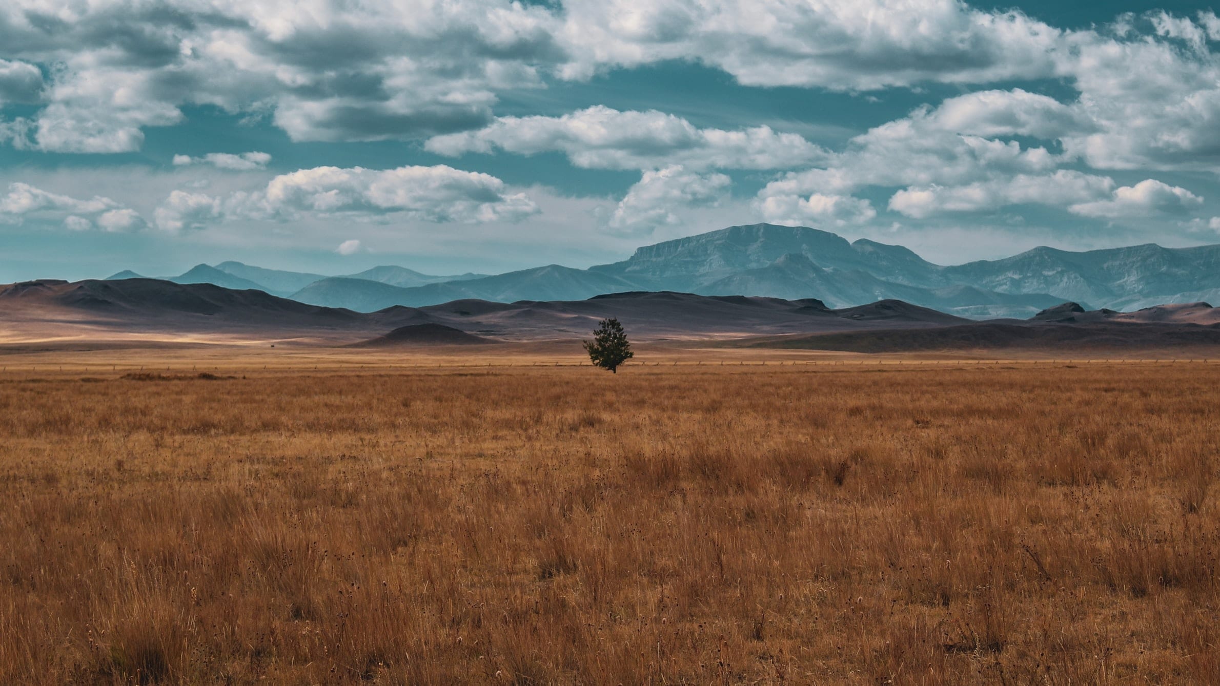 12 Mountainous Facts about Montana