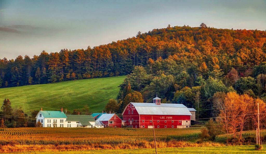 Dairy Farm in New Hampshire