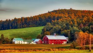 Dairy Farm in New Hampshire 