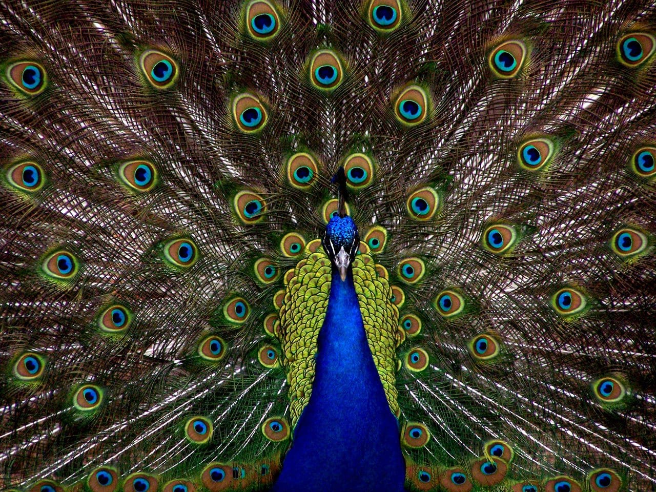65 Interesting Facts. Some Serious. All Fascinating