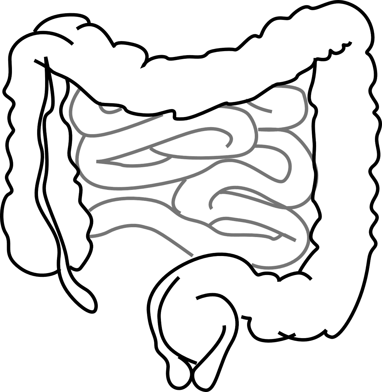 10 Telling Facts on Celiac Disease
