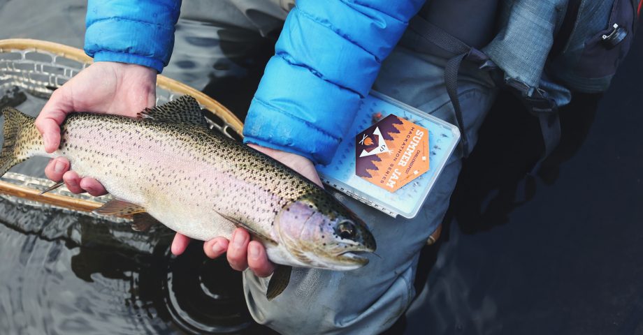 facts about Rainbow Trout