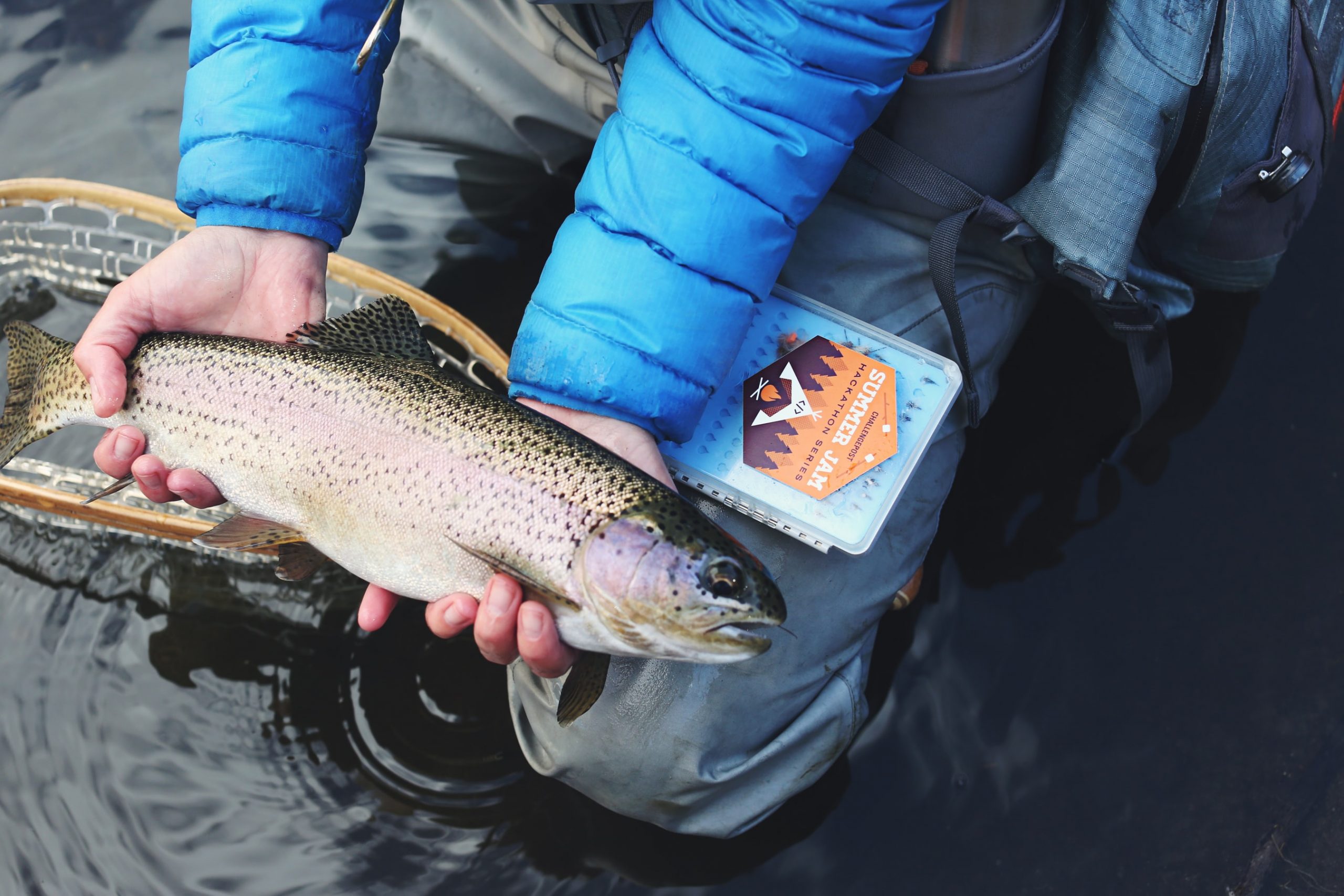 14 Interesting Facts About Rainbow Trout