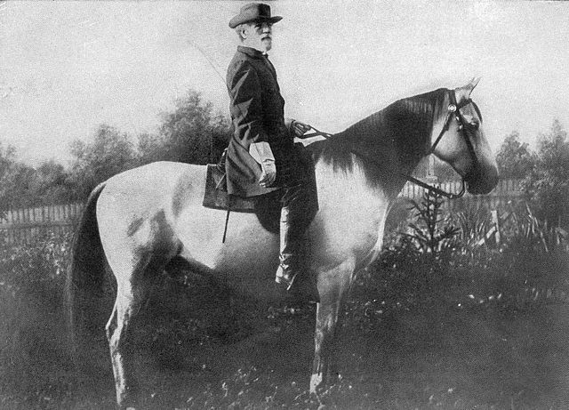 Robert E Lee riding on Traveller