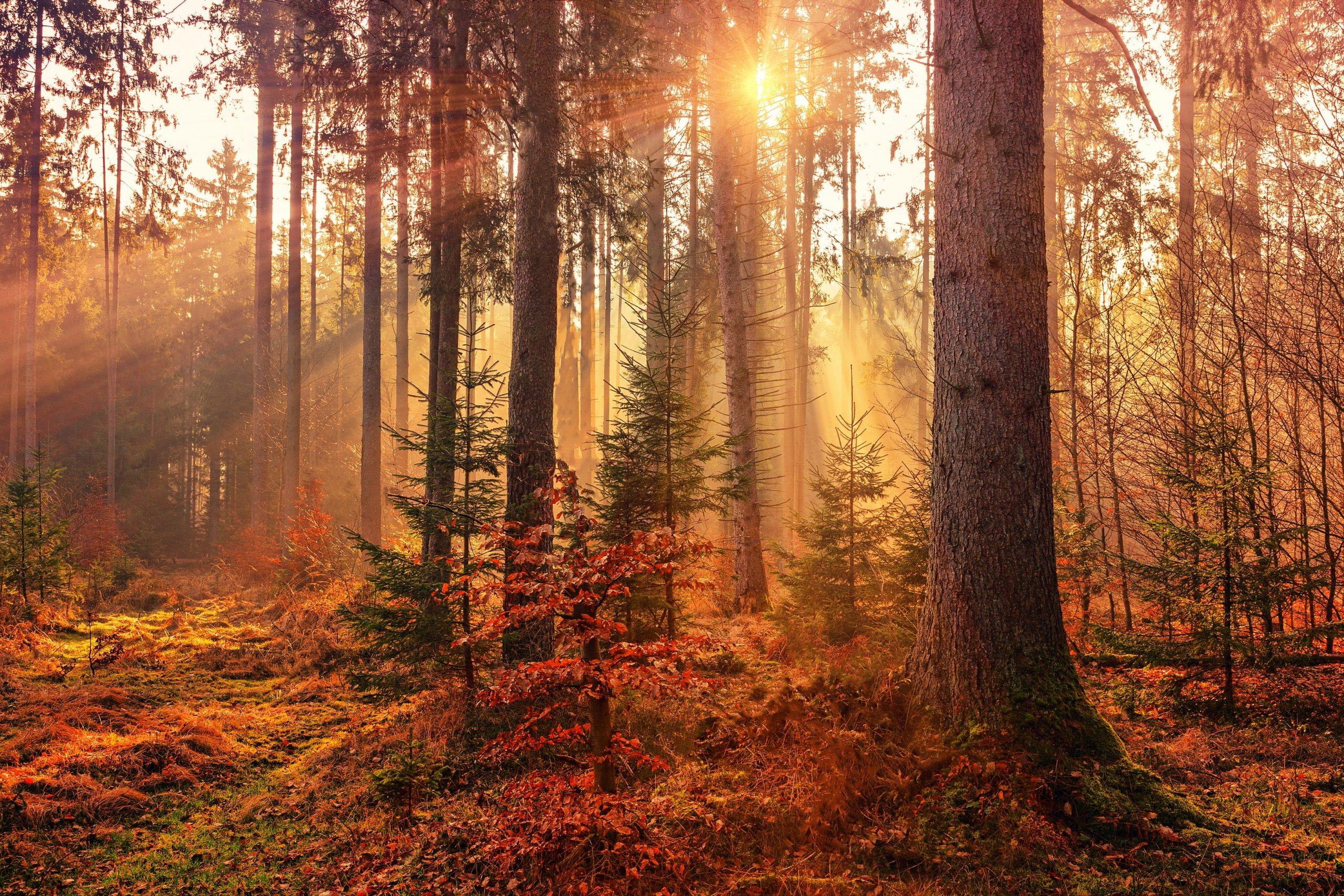 10 Fantastic Facts About Autumn