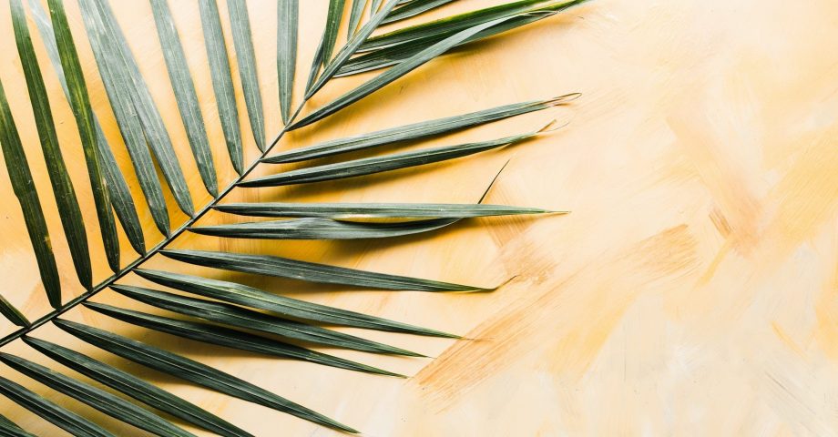 facts about palm sunday