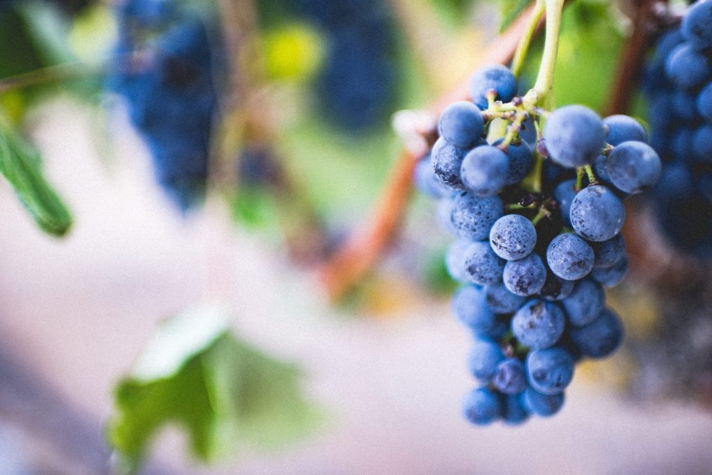 nutrition facts for grapes