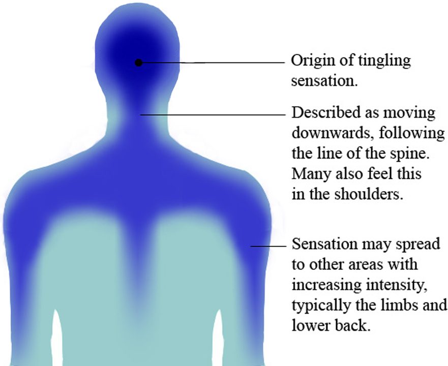 ASMR explanation