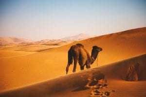 Erg Chebbi, Morocco