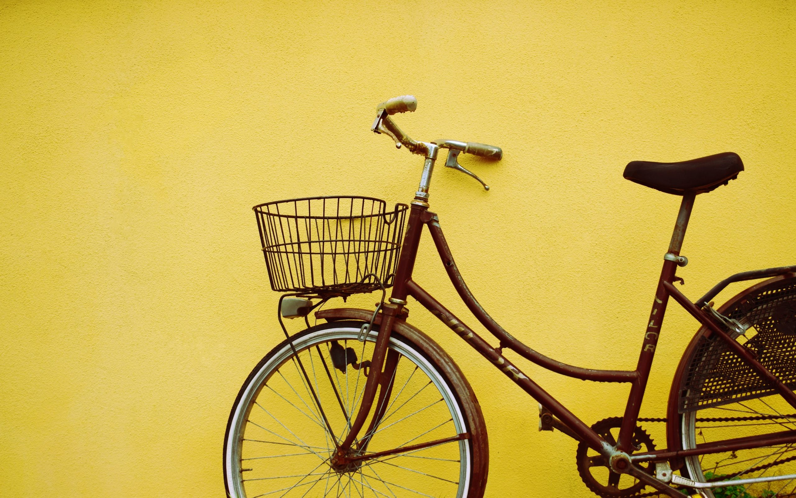 14 Seriously Energetic Facts About Cycling