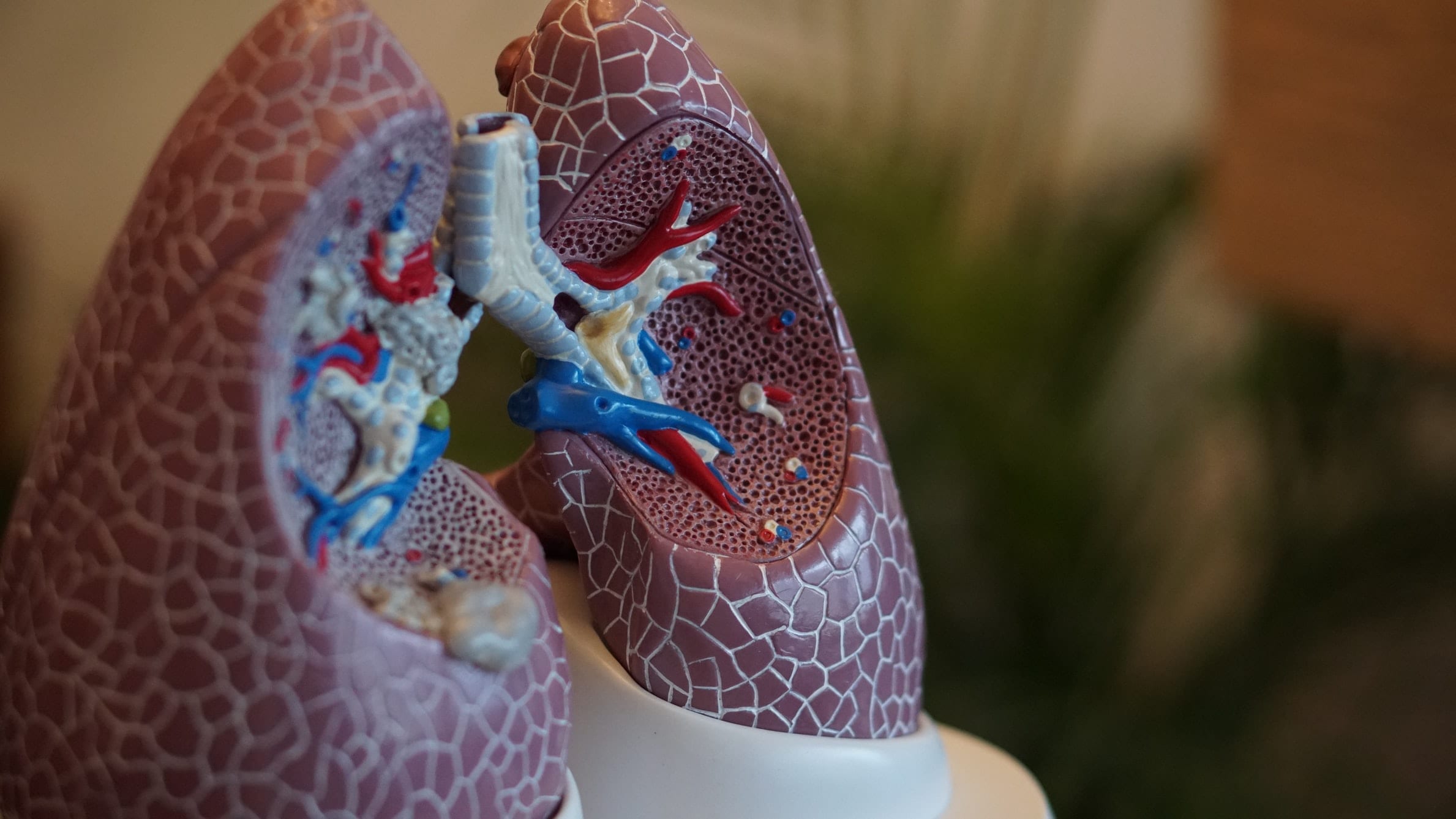 11 Life-Enabling Facts About Lungs