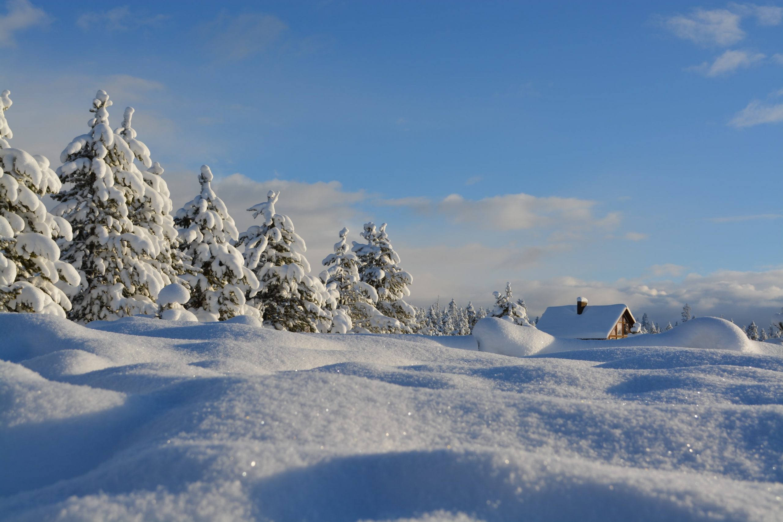15 Solid Facts About Winter