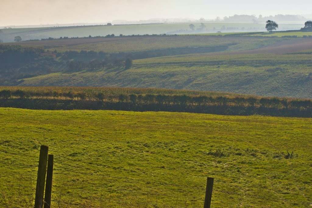 facts about yorkshire