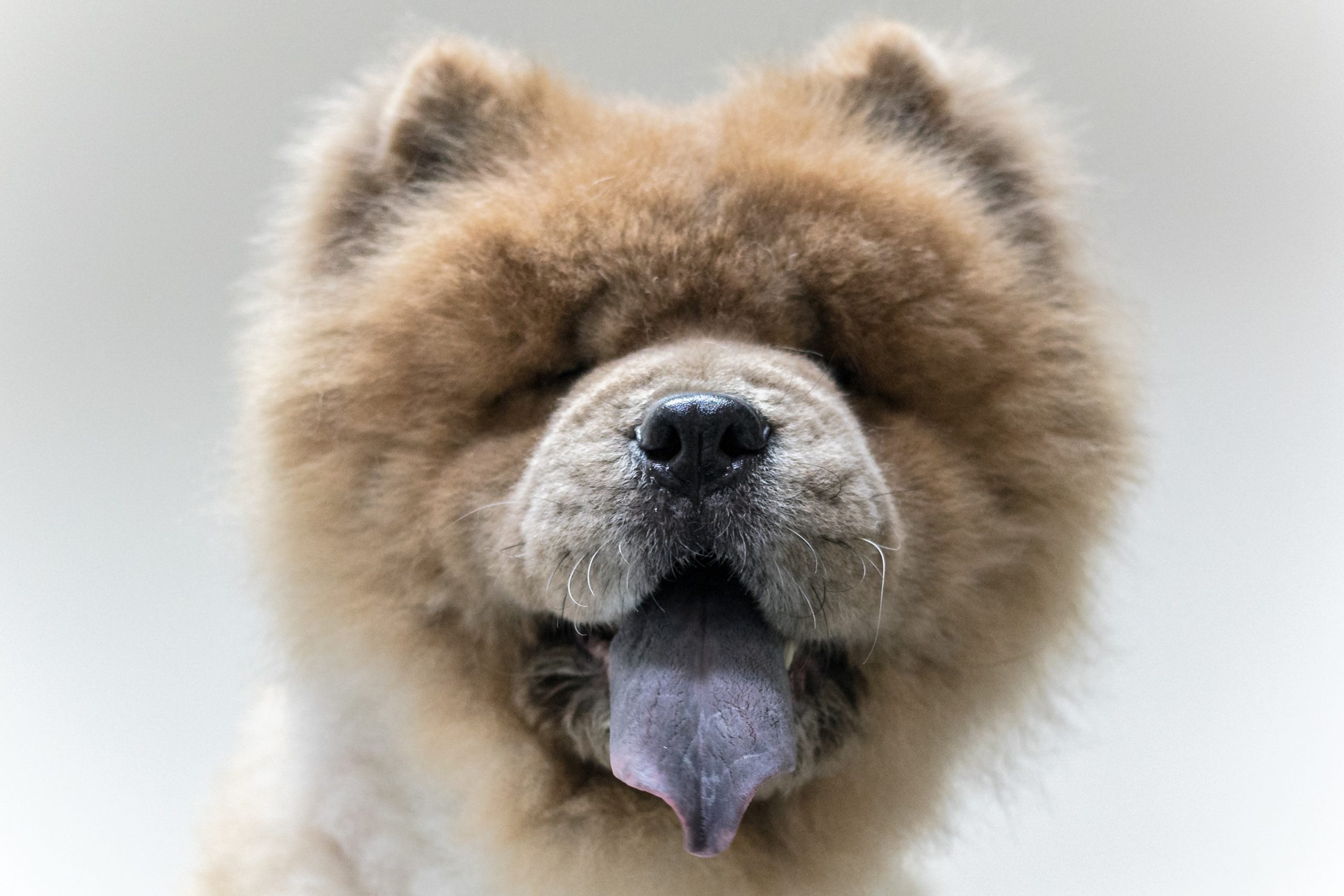10 Warm Hearted Facts about Mammals