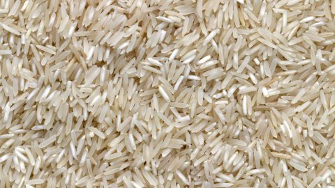 fun facts about rice