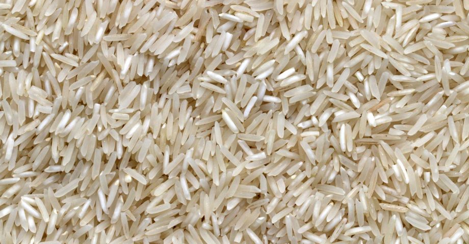 fun facts about rice