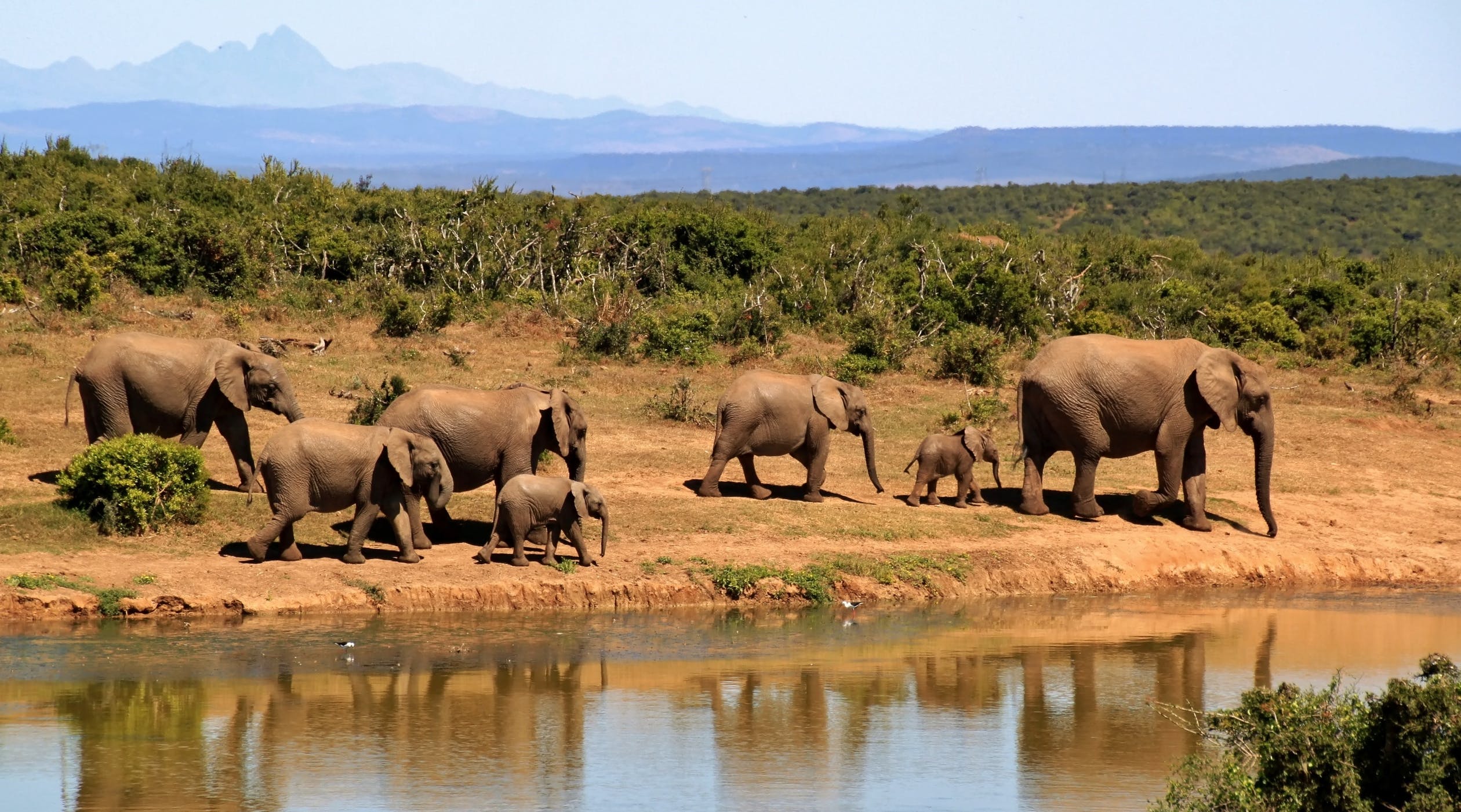 56 Amazing Facts About Africa