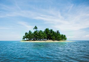 palm trees covering a desert island