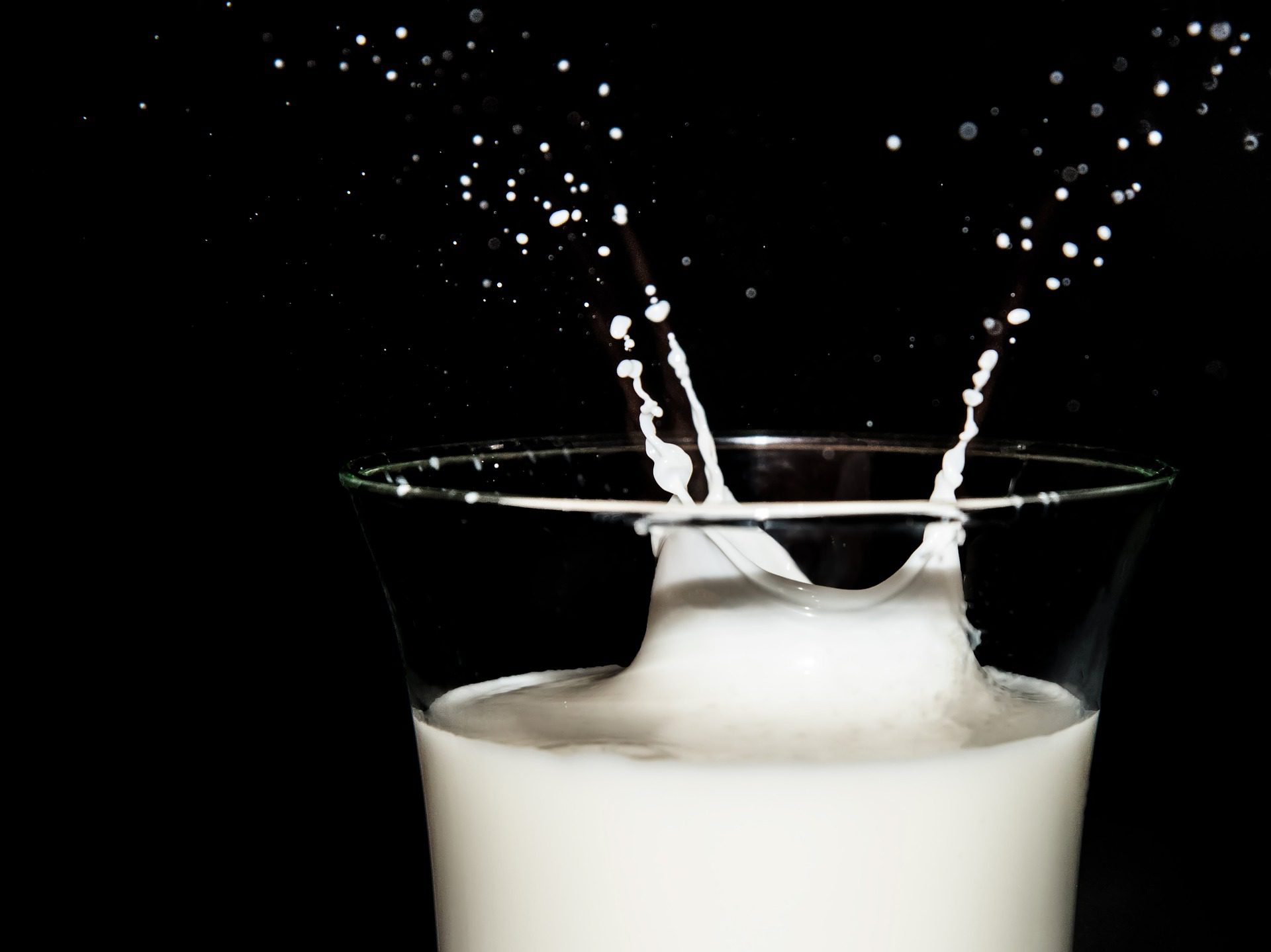 11 Must Know Facts About Milk