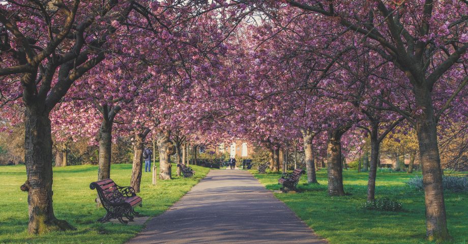 A London park in May