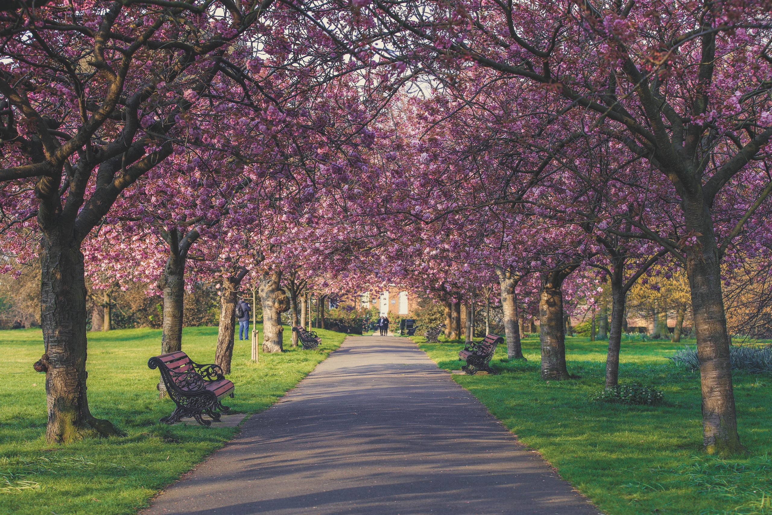 13 Magical Facts About May