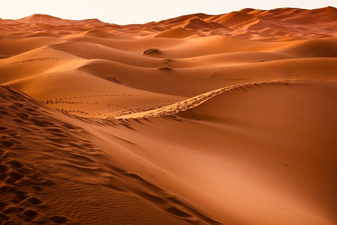 Sahara Desert Facts