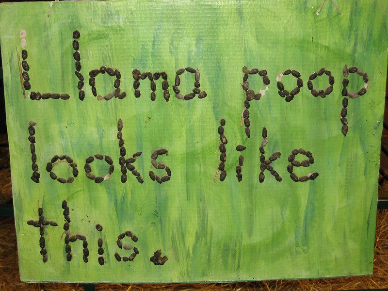 llama poop