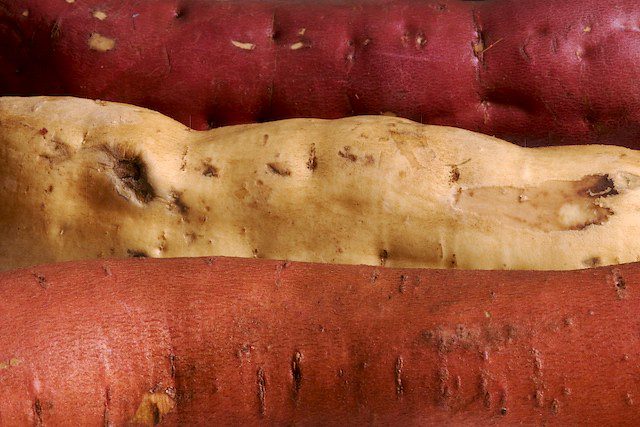 three kinds of sweet potatoes