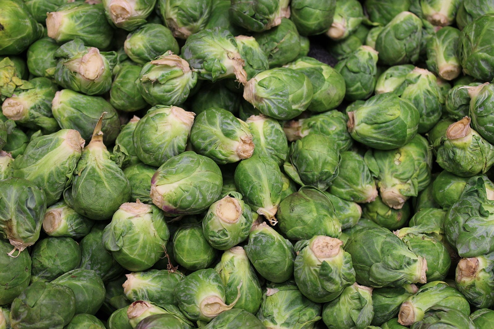11 Funny Facts About Flatulence