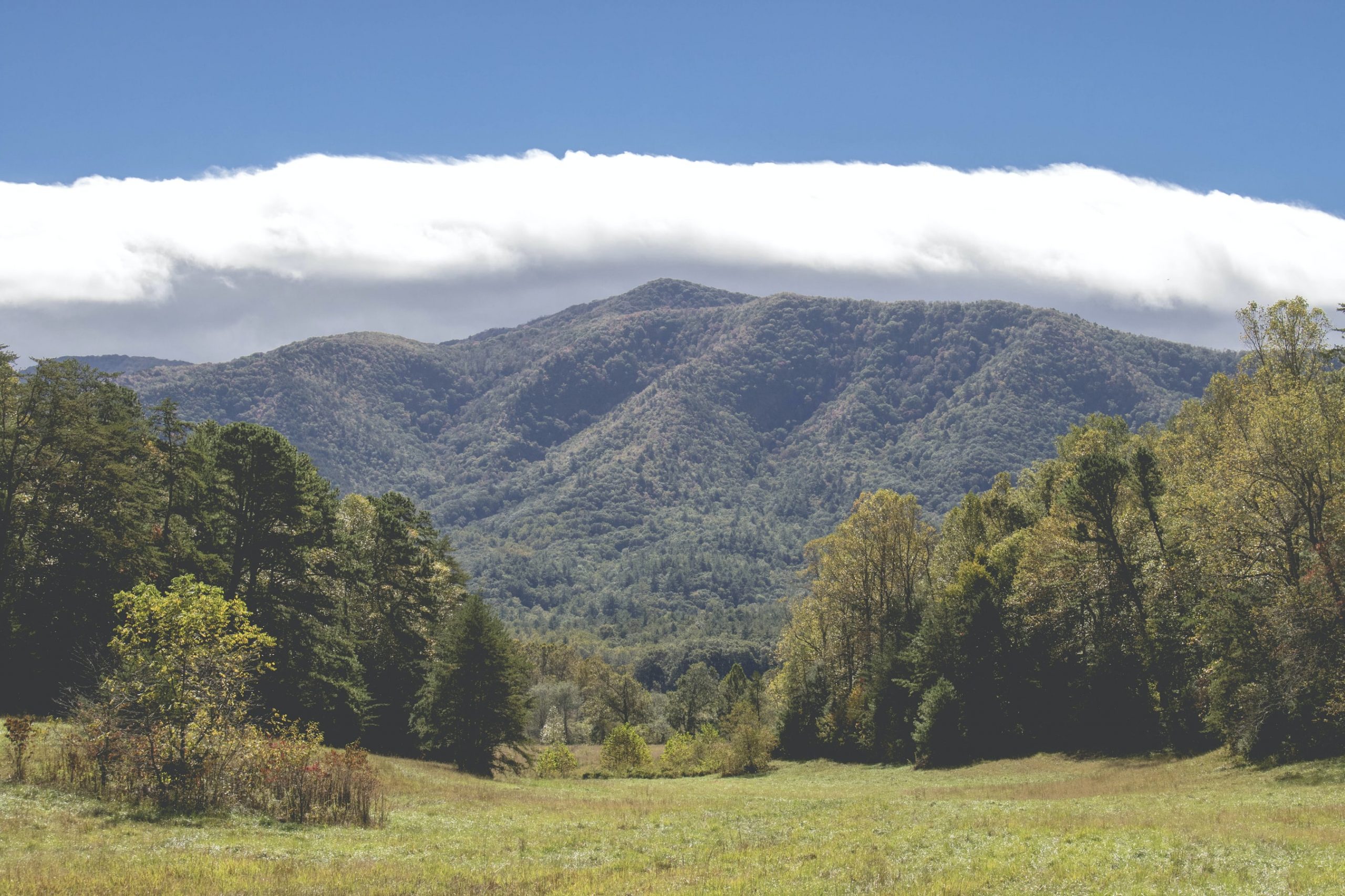 10 Intense Facts about Tennessee