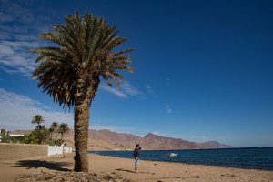 The Sinai Coast, Red Sea