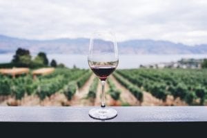 wine fun facts