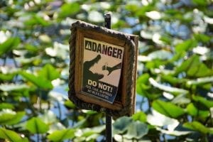 Danger sign warning of alligators in the Everglades