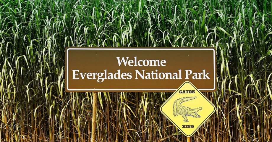 Interesting facts about the Everglades