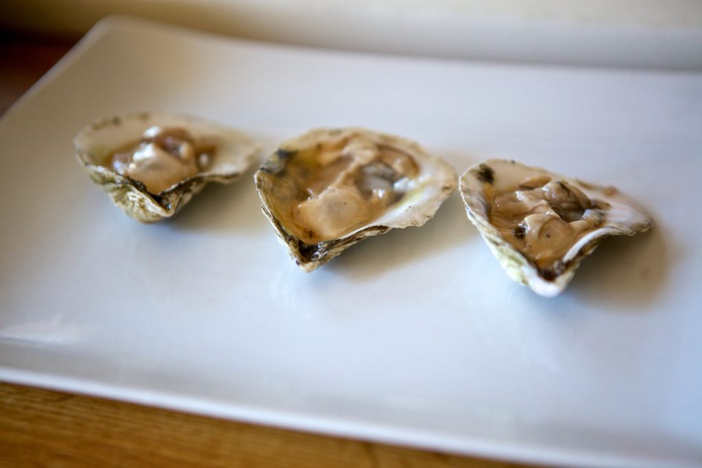 facts about oysters