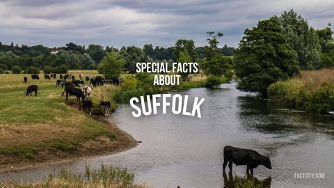 suffolk header