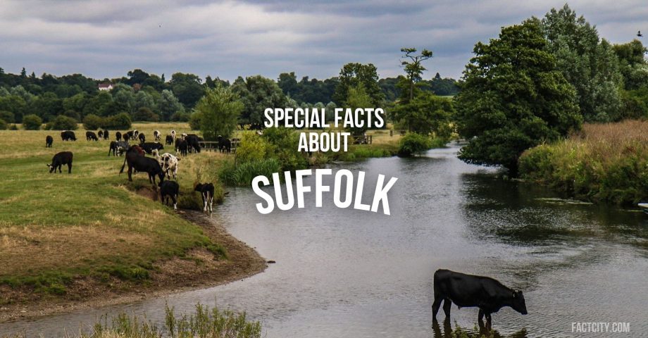 suffolk header