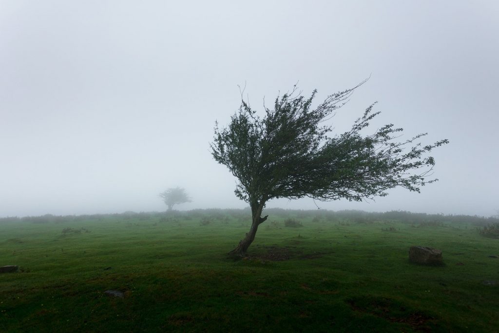 facts about the wind