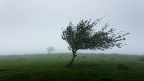 facts about the wind