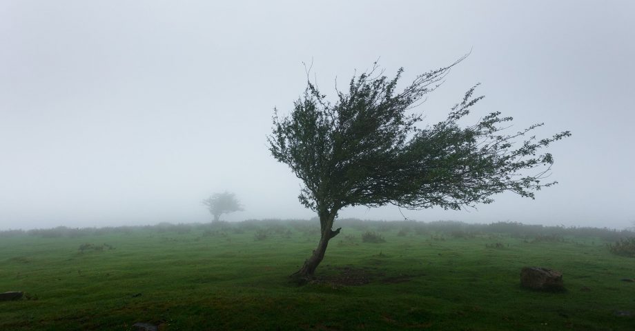 facts about the wind