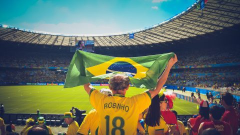 football fever - a supporter waving a flag