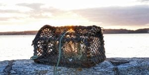 Lobster pot