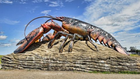 facts about lobsters