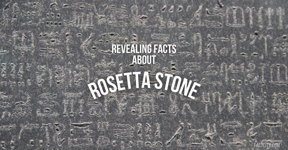 rosetta stone header