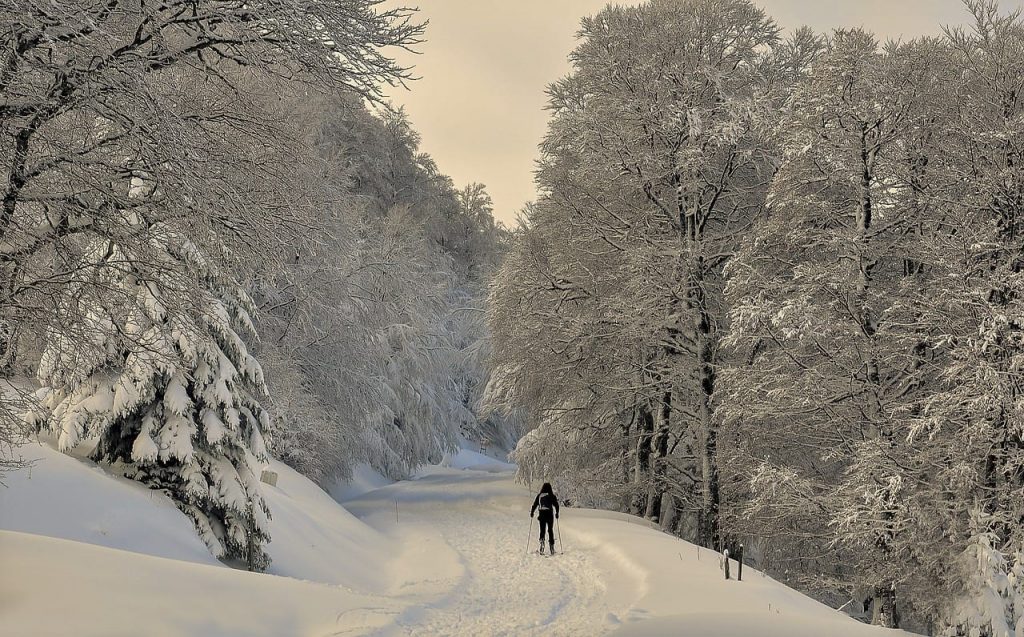 Pyrenees facts