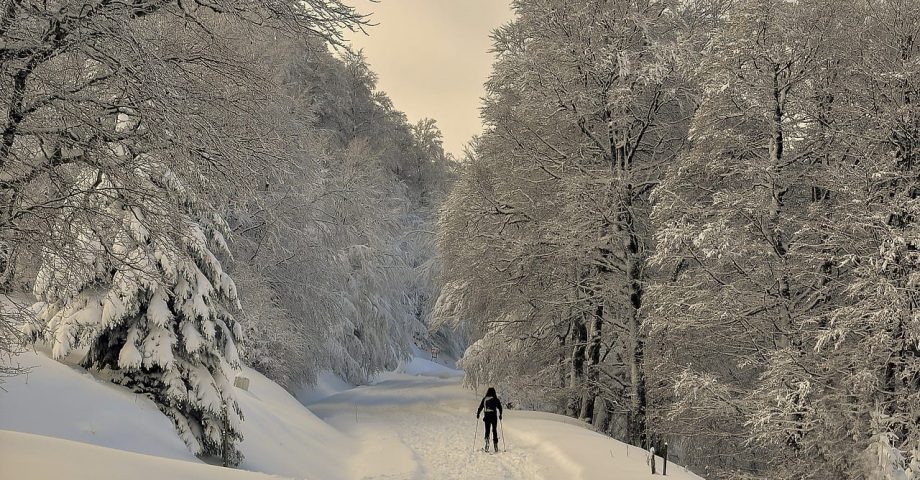 Pyrenees facts