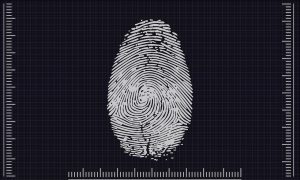 Fingerprint biometrics