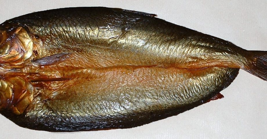 facts about herrings