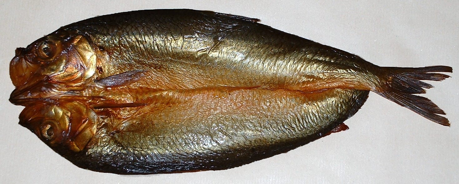 23 Hefty Facts About Herring