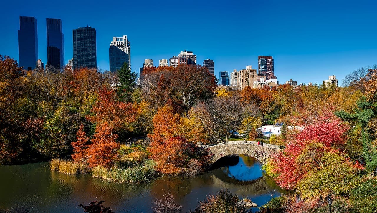 15 Cool Facts About Central Park, New York